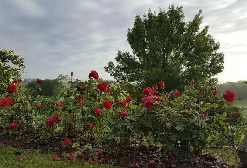 Majatalo Chambres D Hôtes Lamourio