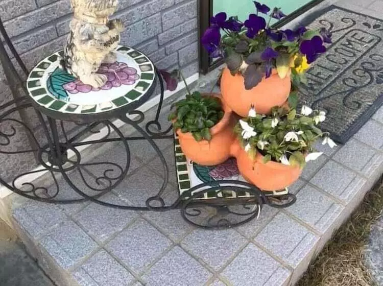 ペンション 民宿とまとハウスtomato House