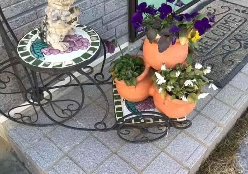 ペンション 民宿とまとハウスtomato House