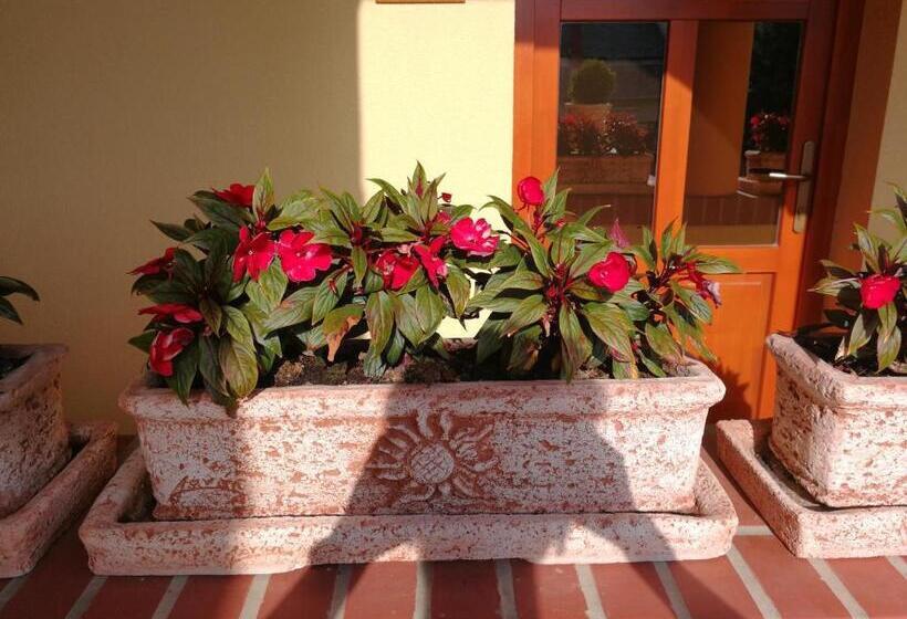 Pension Vitis Vendégház