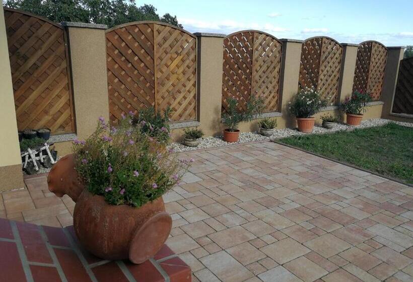 Pension Vitis Vendégház