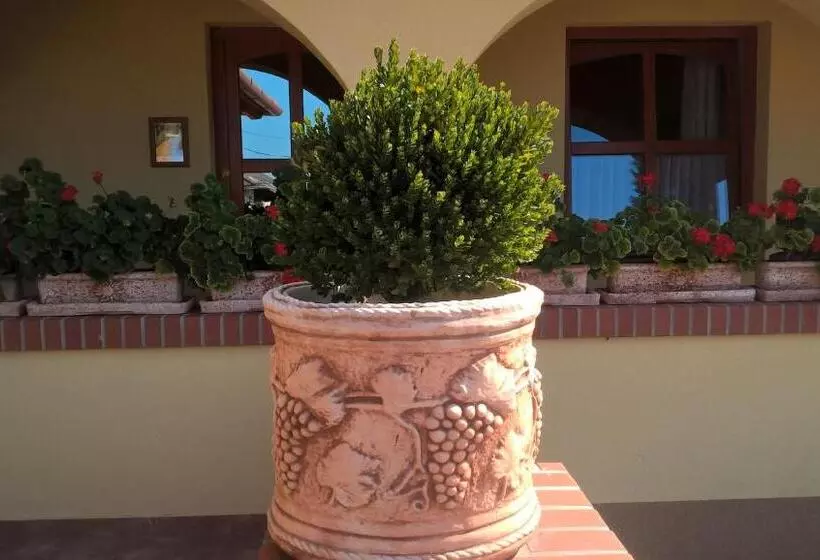 ペンション Vitis Vendégház