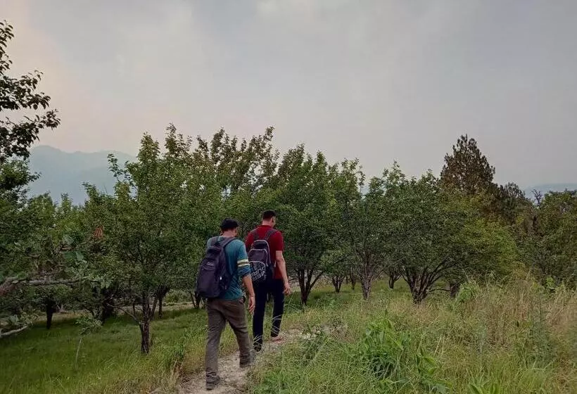 Vista Hostel Jeolikote, Nainital