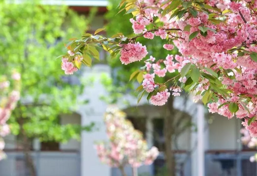 Auguszta Hotel és Diákszálló