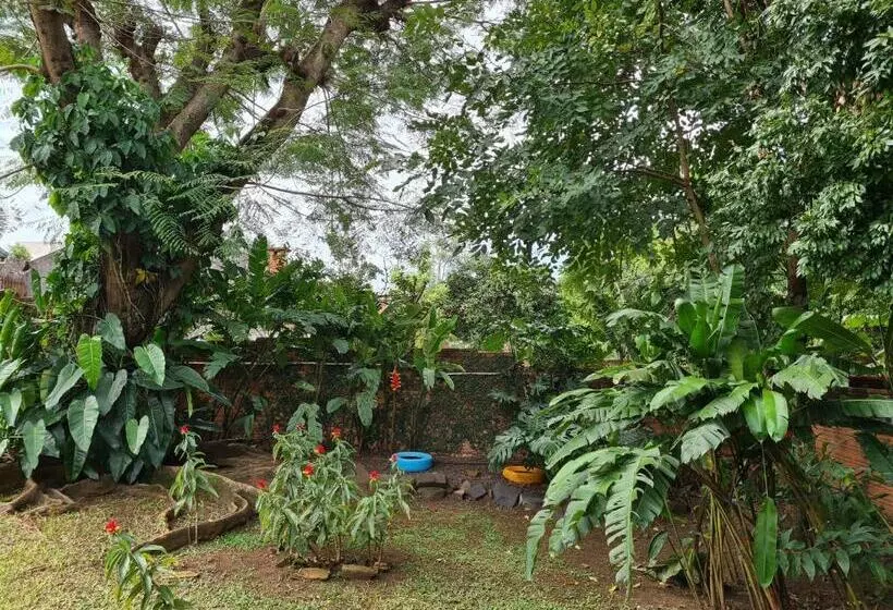 Casa De La Y B&b