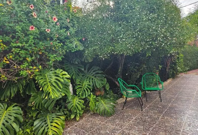 Casa De La Y B&b