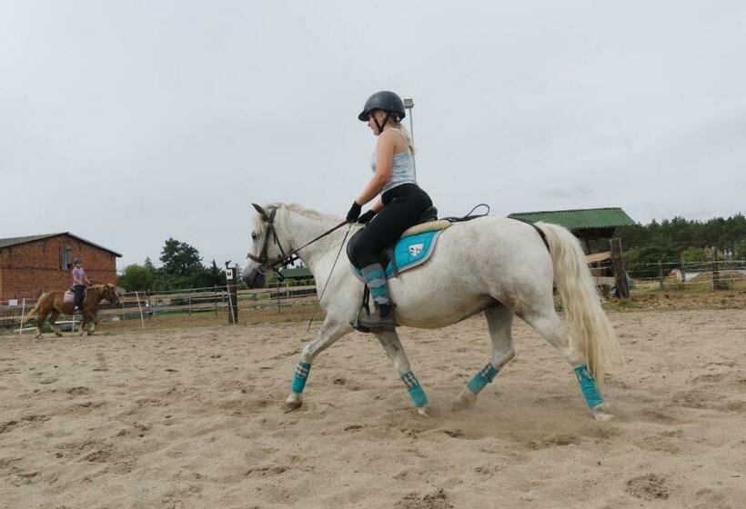 فندق White Pony Agroturystyka I Stajnia
