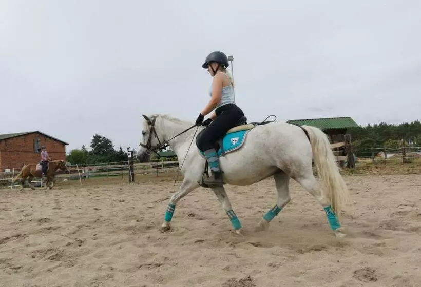 ホテル White Pony Agroturystyka I Stajnia