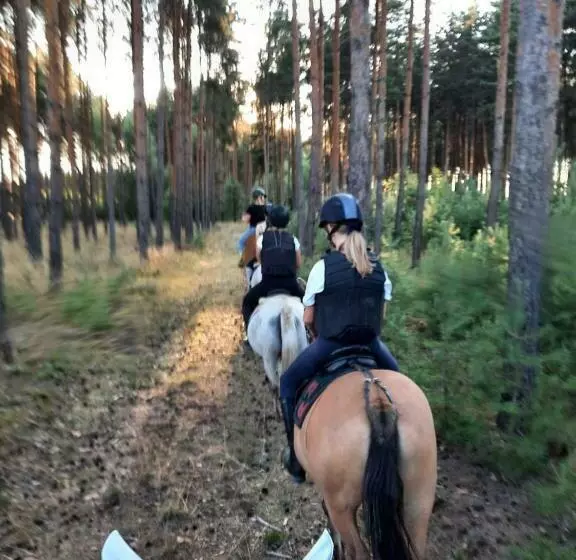 ホテル White Pony Agroturystyka I Stajnia