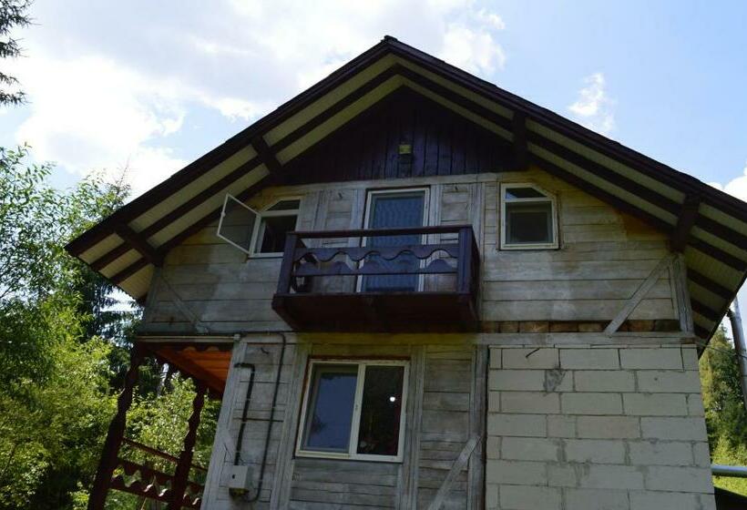 Pensjonat Cabana Dintre Brazi