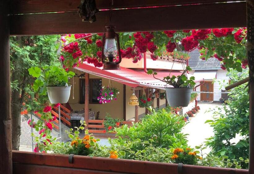 پانسیون Casa Boico