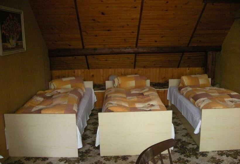 פנסיון Penzion Nevcehle