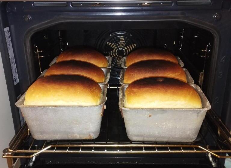 Hotel садиба у васі