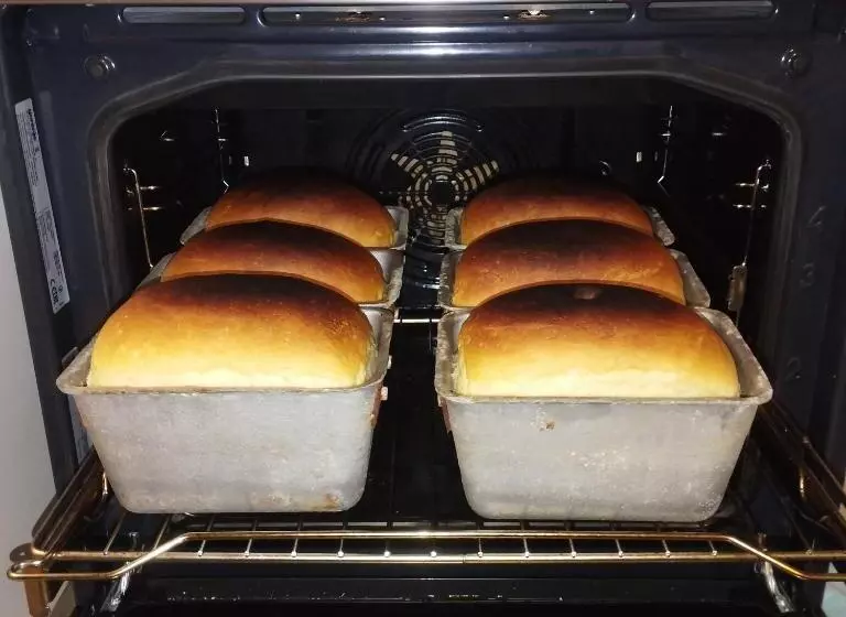 Hotelli садиба у васі