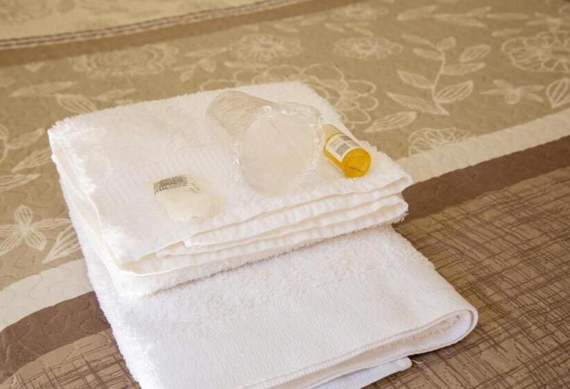 Pensione A Lúa Do Camiño