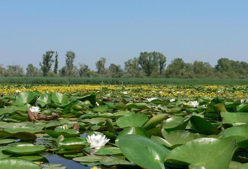 펜션 All Inn Köre