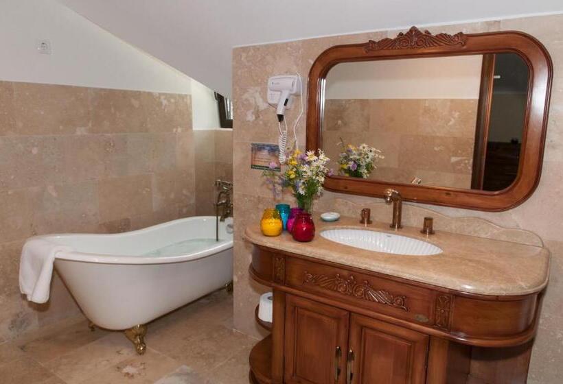 膳宿费 Conacul Dascalu