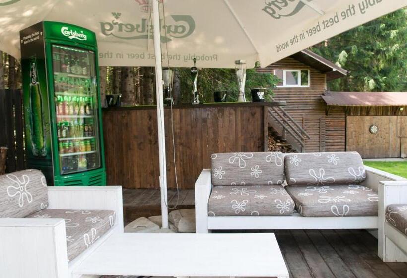 膳宿费 Conacul Dascalu