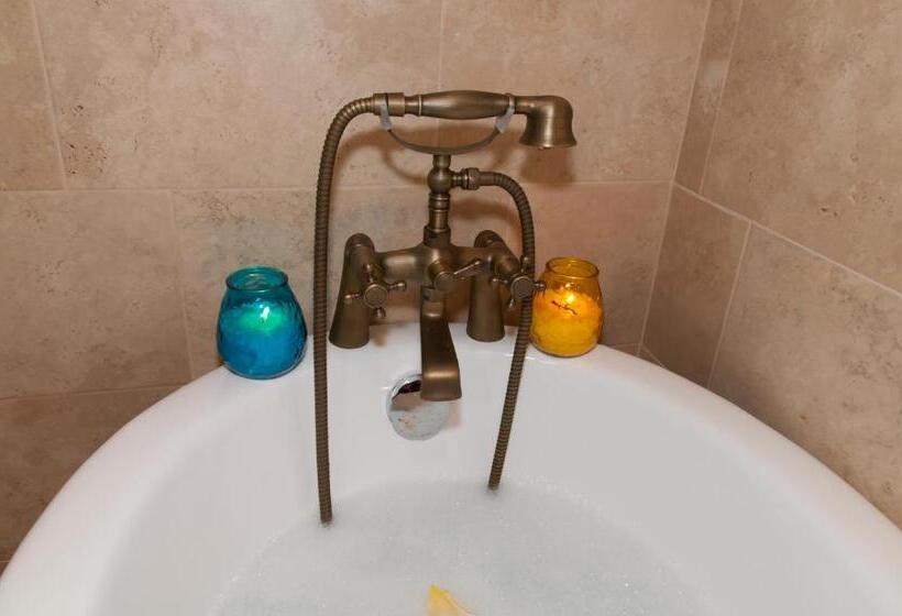 膳宿费 Conacul Dascalu