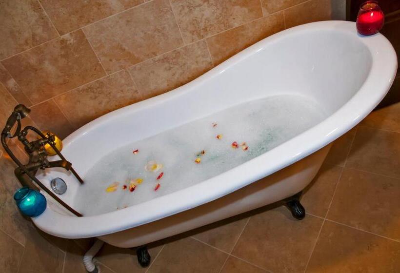 膳宿费 Conacul Dascalu