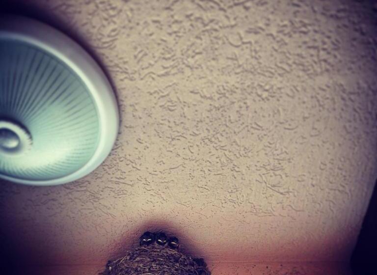 بنسيون Guest House Natali