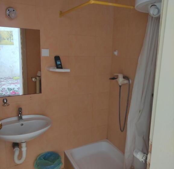 پانسیون Sobe Sa Sopstvenim Kupatilom Private Rooms Bathroom In Center