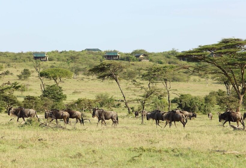 هتل Basecamp Eagle View