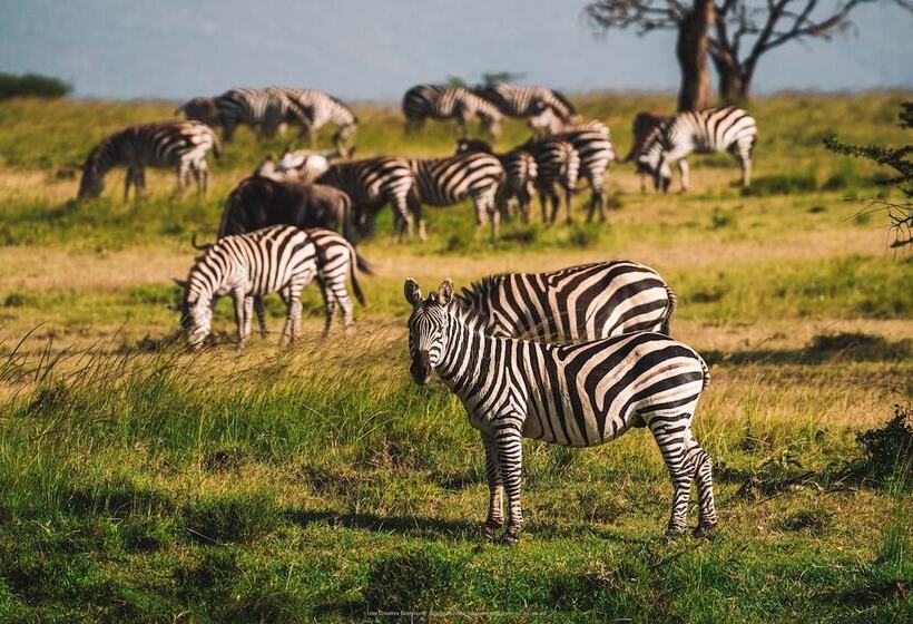 هتل Basecamp Eagle View