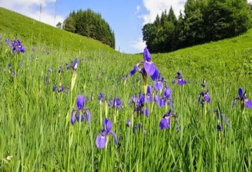 فندق Lodge Takeo