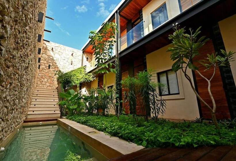 ホテル Casa Boutique Pasha