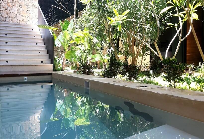 ホテル Casa Boutique Pasha