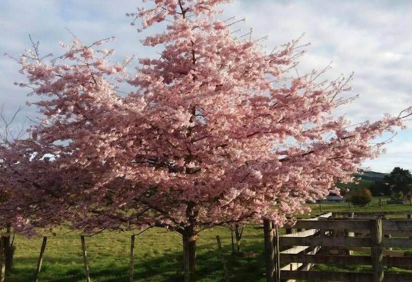 ホテル Orchard View Farmstay Retreat