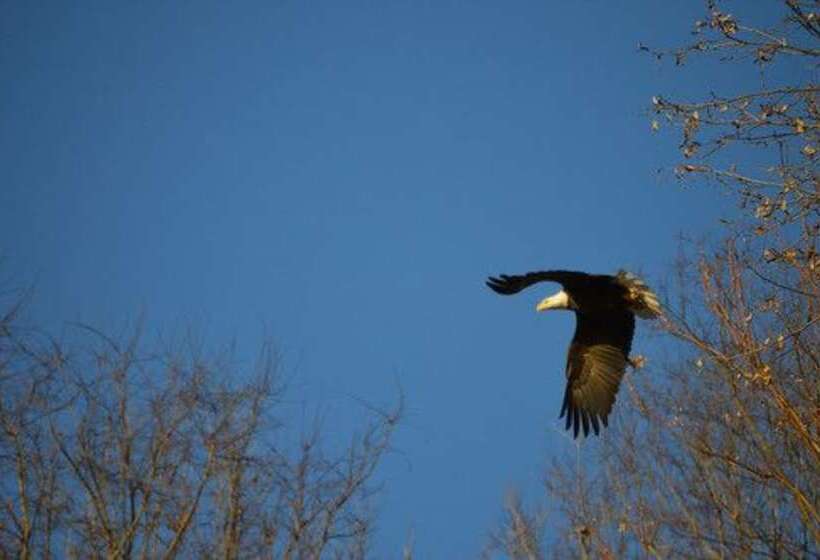 住宿加早餐 Mont Rest Inn