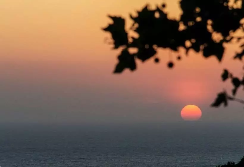 Отель Auberge Ferayola