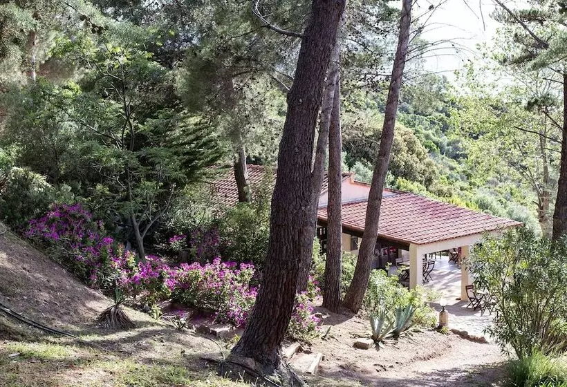 Отель Auberge Ferayola