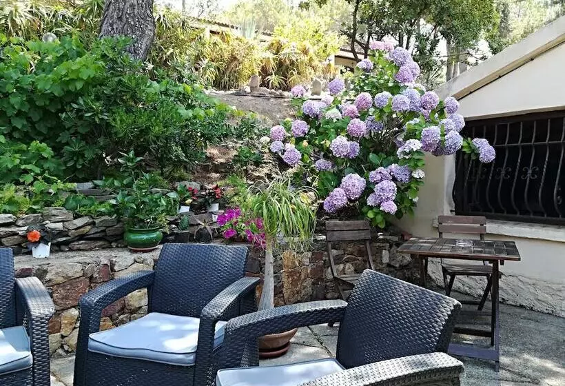 Отель Auberge Ferayola