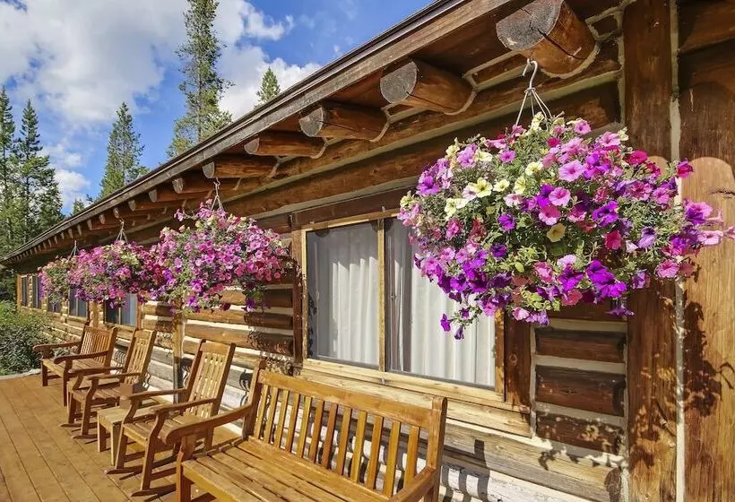 Отель Jenny Lake Lodge