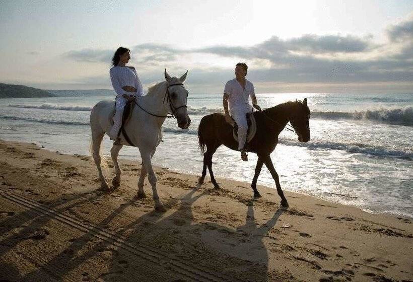 هتل Orchidea Park All Inclusive