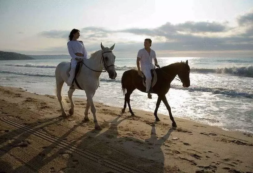 Hotell Orchidea Park All Inclusive