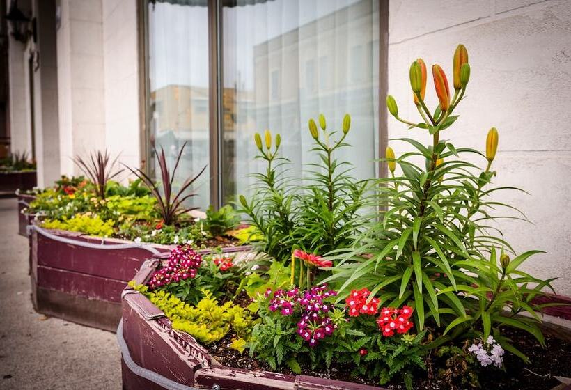 Szálloda Peterborough Inn & Suites