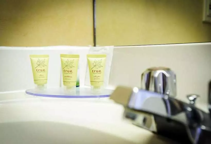 酒店 Peterborough Inn & Suites