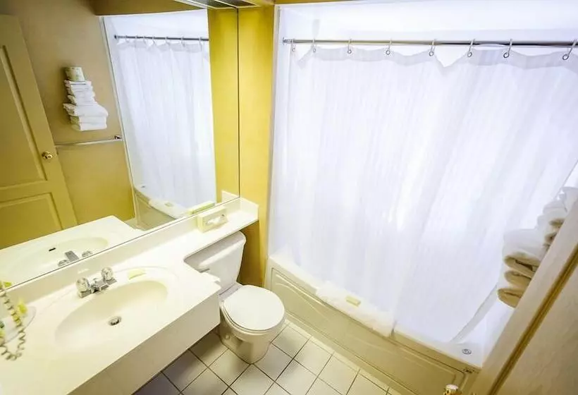 酒店 Peterborough Inn & Suites