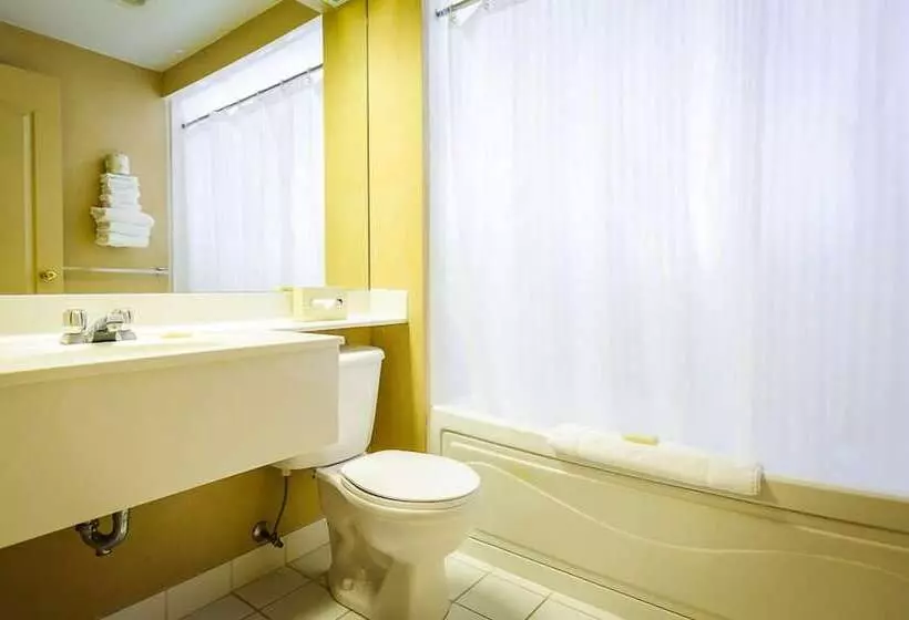 酒店 Peterborough Inn & Suites