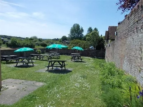 Отель The Royal Oak