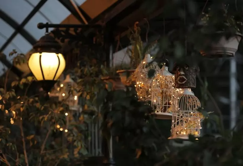 Willow Banks Boutique 4 Star Hotel On The Mall Road Shimla