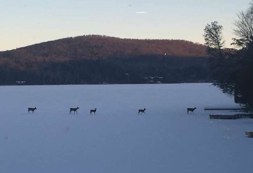 Kiwassa Lake Bed & Breakfast