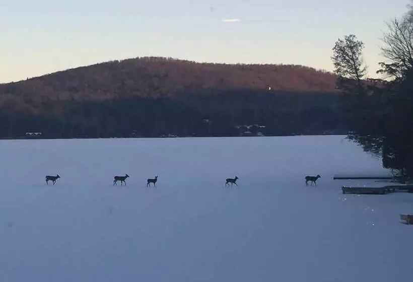 Kiwassa Lake Bed & Breakfast