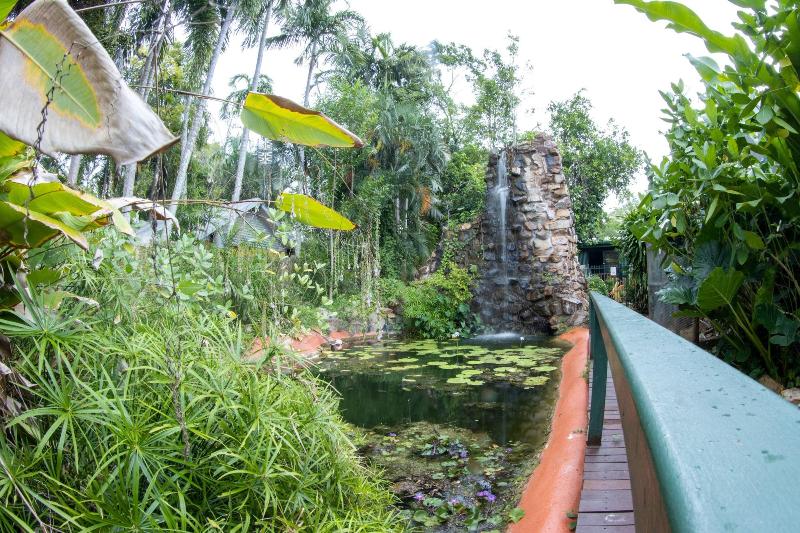 بنسيون Batchelor Butterfly Farm