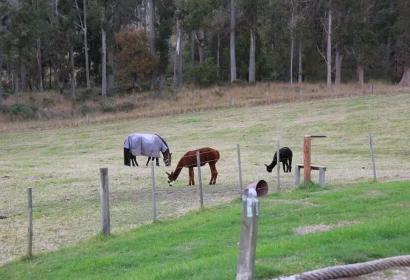 Sherwood View Accommodation