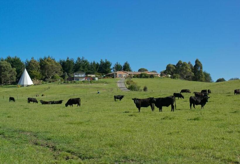 Sherwood View Accommodation